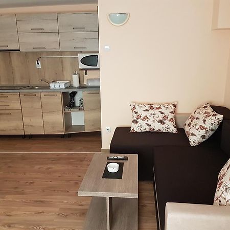 Amma Apartment Brasov Bagian luar foto